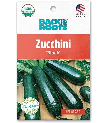 Amazon.com : Grey Zucchini Summer Squash Seeds Heirloom